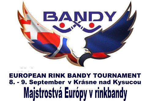 Rink bandy turnaj 2018 Krásno n. K.